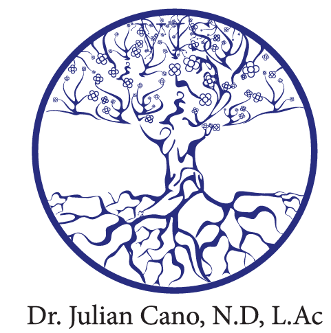 Dr Julian Cano LLC